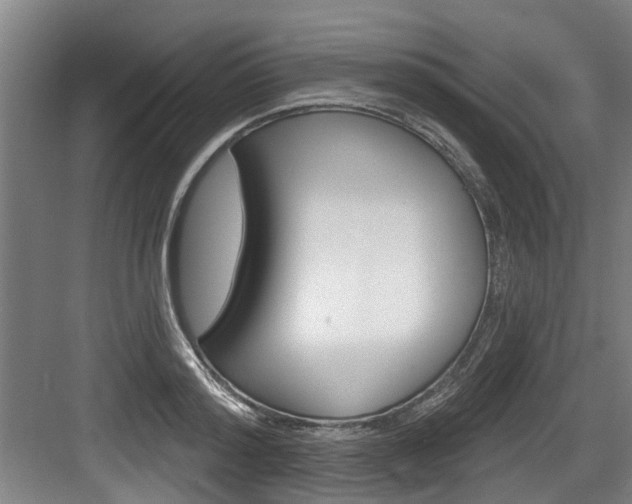 X0000083650796200702120835