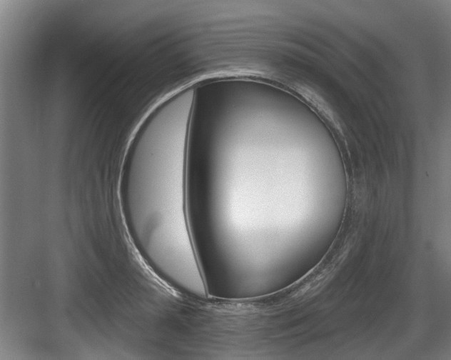 X0000083650797200702120835