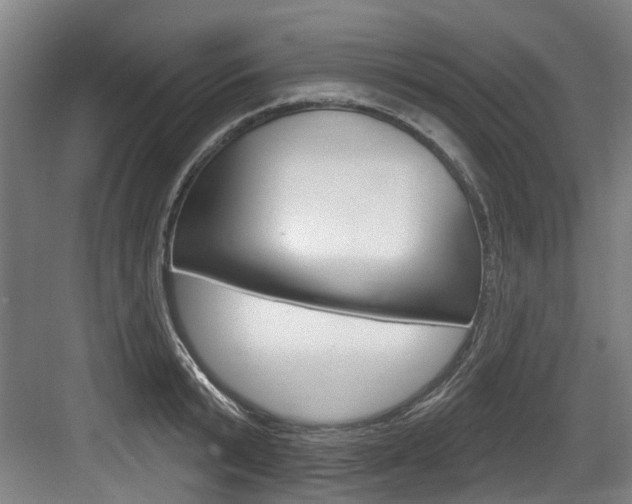 X0000083650799200702120835