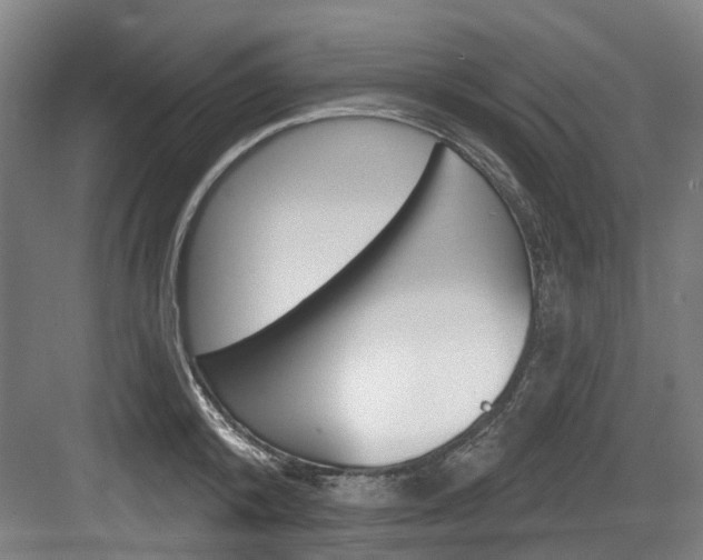 X0000083650800200702120835