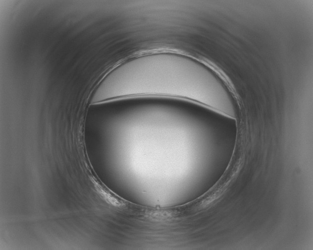X0000083650801200702120835