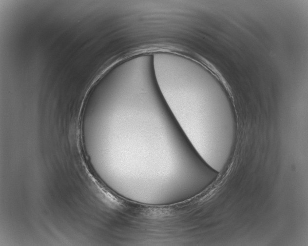 X0000083650802200702120835