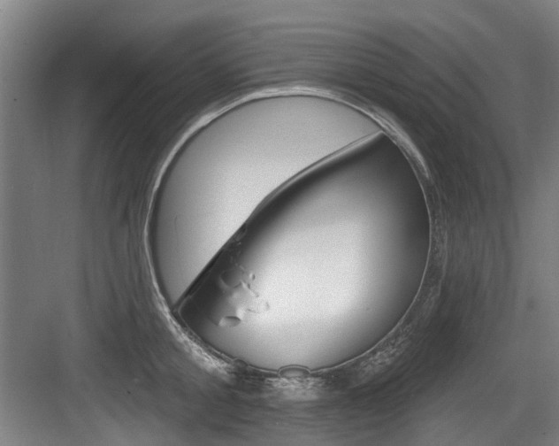 X0000083650805200702120835