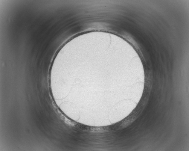 X0000083650807200702120835