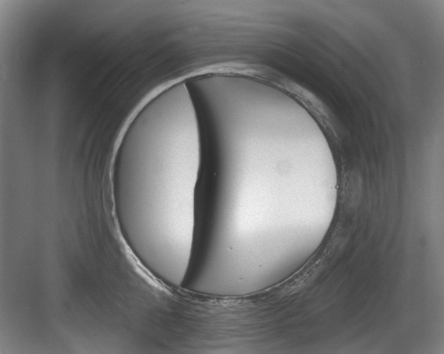 X0000083650808200702120835
