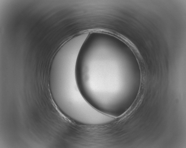 X0000083650809200702120835