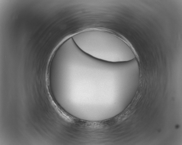 X0000083650811200702120835