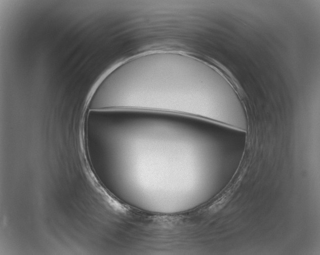 X0000083650812200702120835