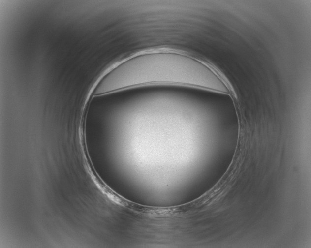 X0000083650813200702120834