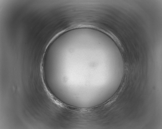 X0000083650814200702120834