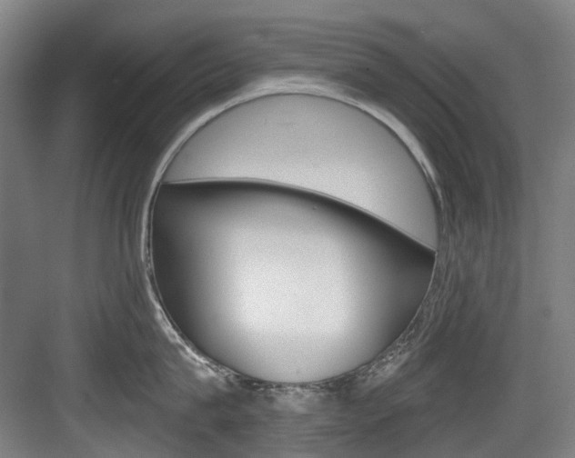 X0000083650815200702120834