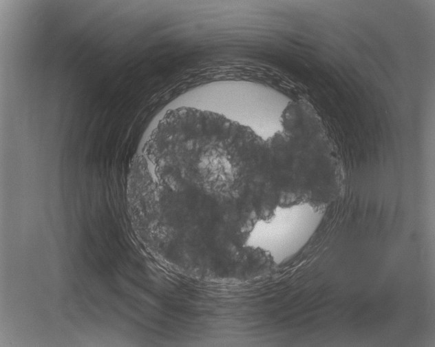 X0000083650819200702120834