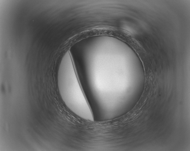 X0000083650821200702120834