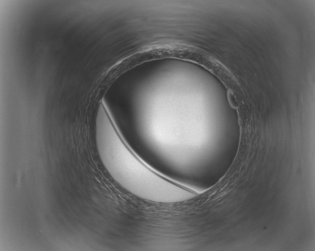 X0000083650822200702120834