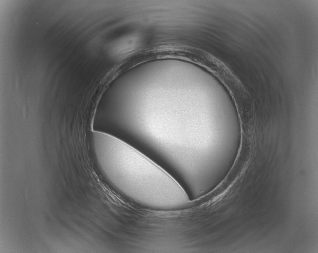 X0000083650825200702120834