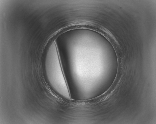 X0000083650826200702120834