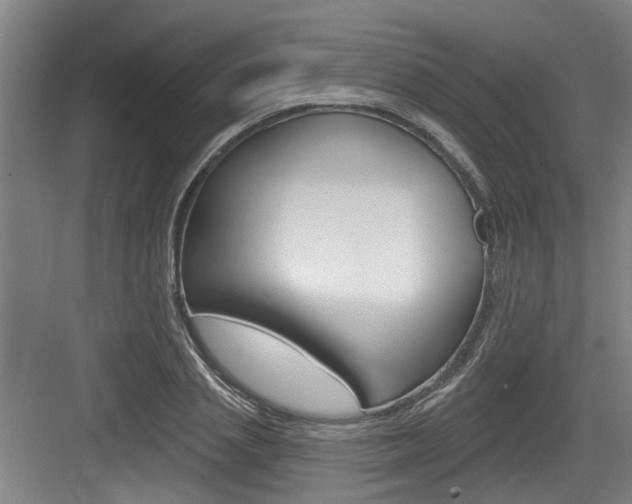 X0000083650837200702120834