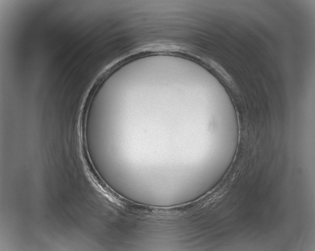 X0000083650840200702120834