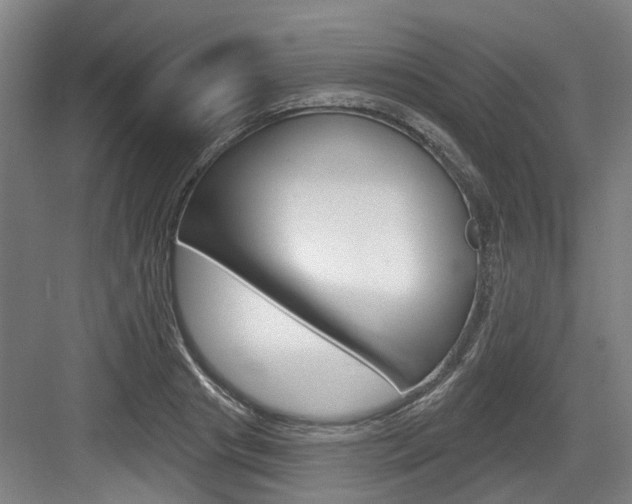 X0000083650841200702120834