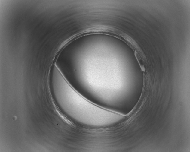 X0000083650842200702120834