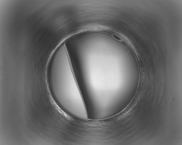 X0000083650843200702120834