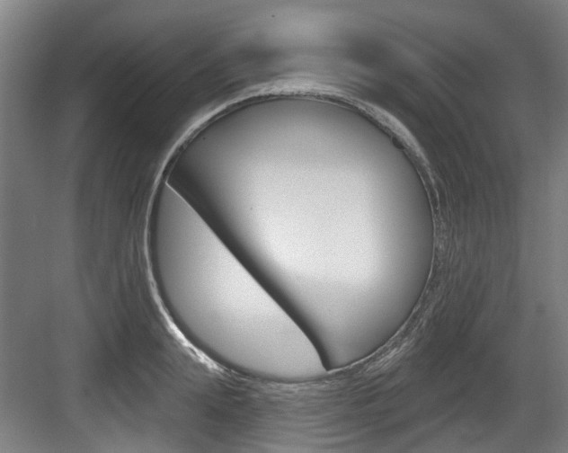 X0000083650847200702120834