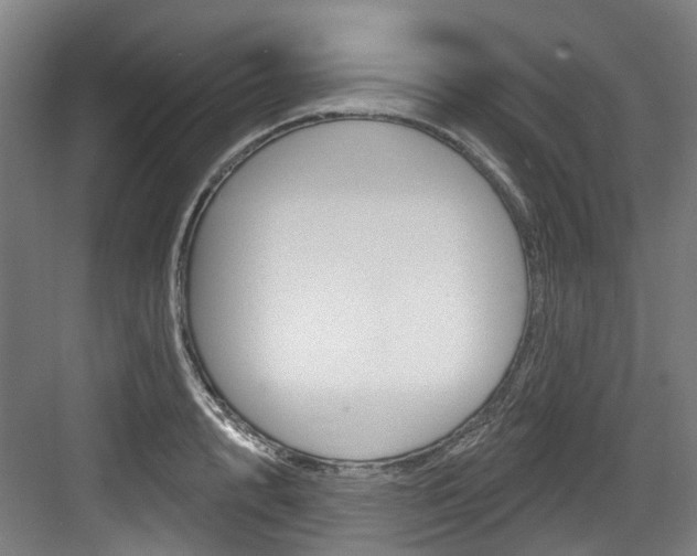 X0000083650848200702120834