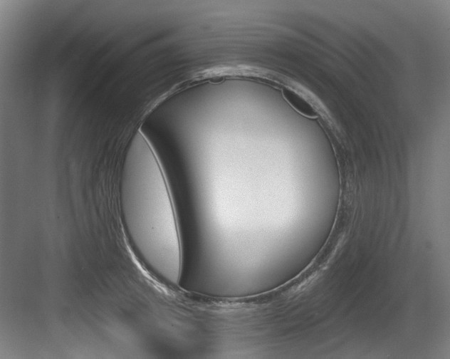 X0000083650849200702120834