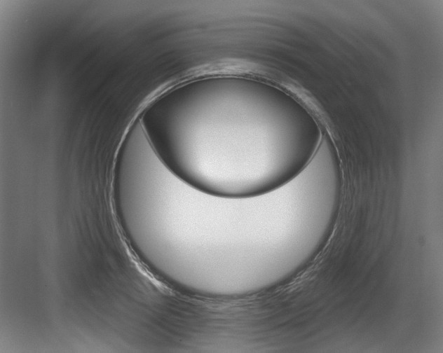 X0000083650850200702120834