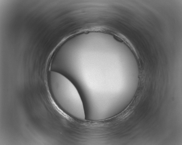 X0000083650851200702120834
