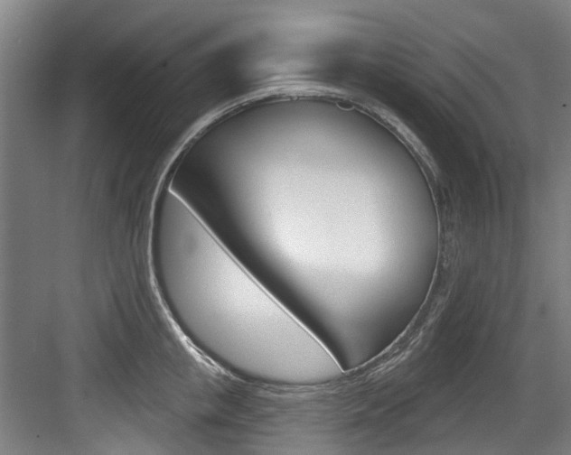 X0000083650853200702120834