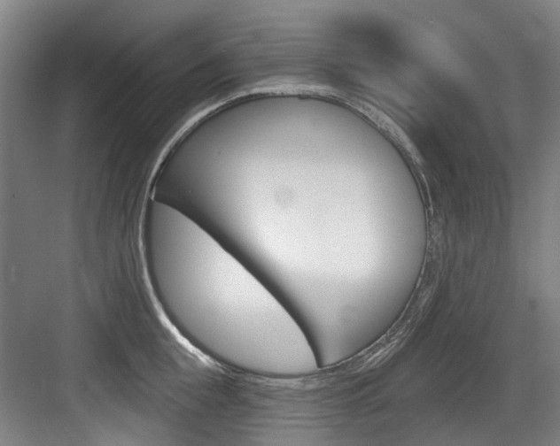 X0000083650855200702120834
