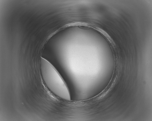 X0000083650857200702120834
