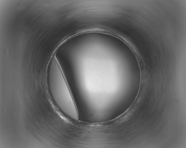 X0000083650858200702120834