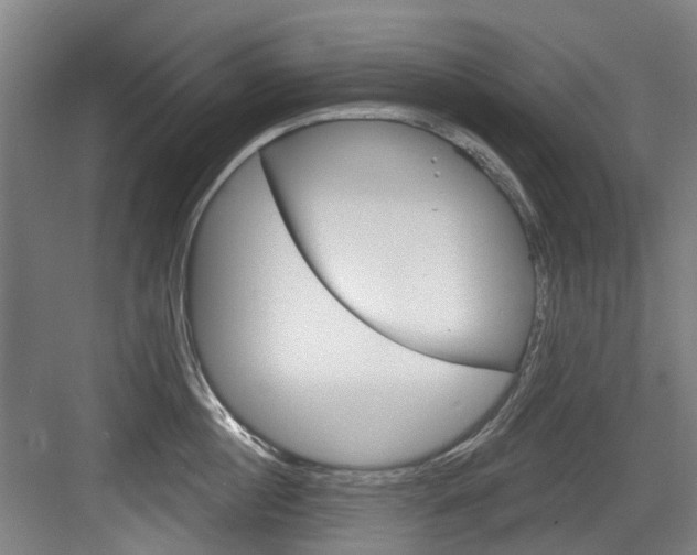 X0000083650860200702120834