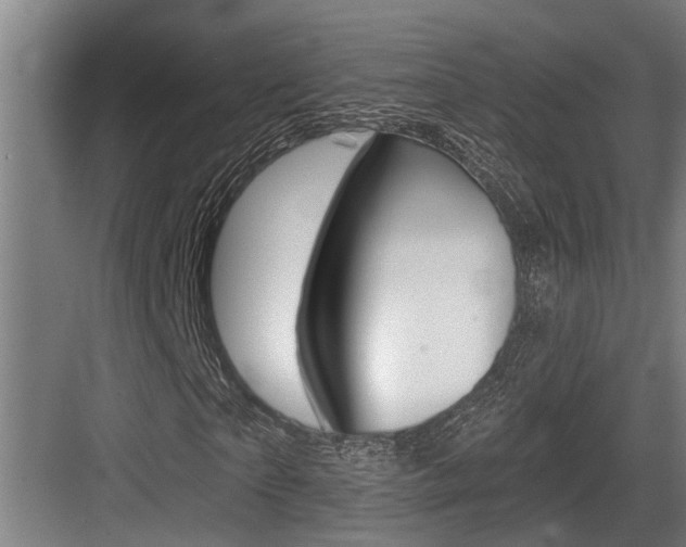 X0000083650865200702120834