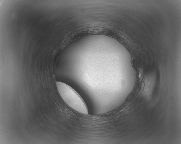 X0000083650867200702120834