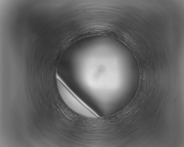 X0000083650868200702120834