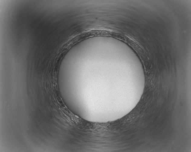 X0000083650870200702120834