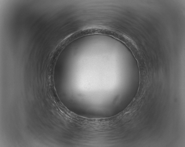 X0000083650872200702120834