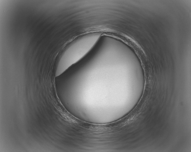 X0000083650873200702120833