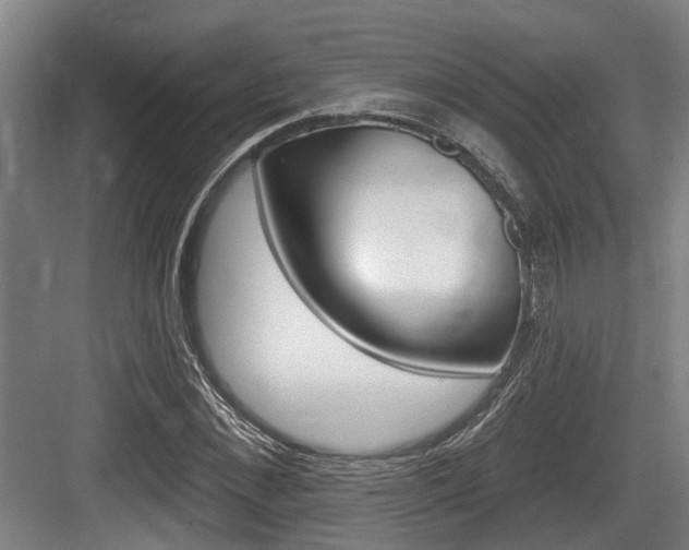 X0000083650876200702120833