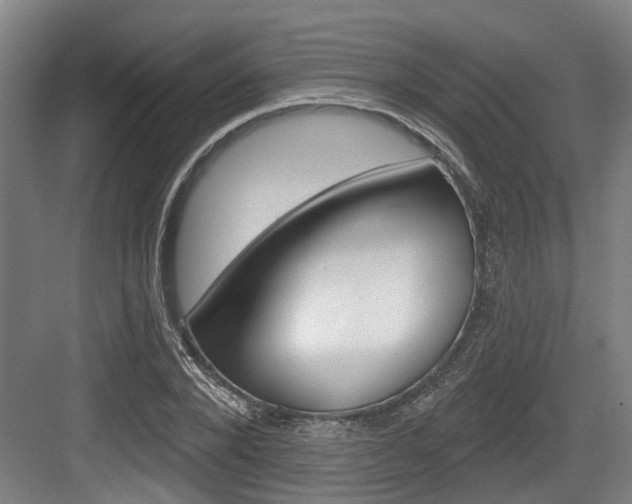 X0000083650880200702120833