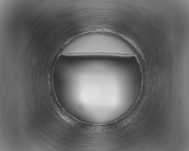 X0000083650881200702120833