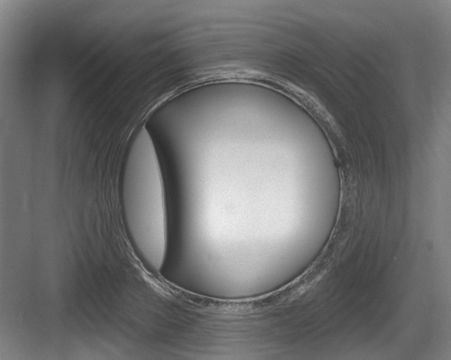 X0000083650889200702120833