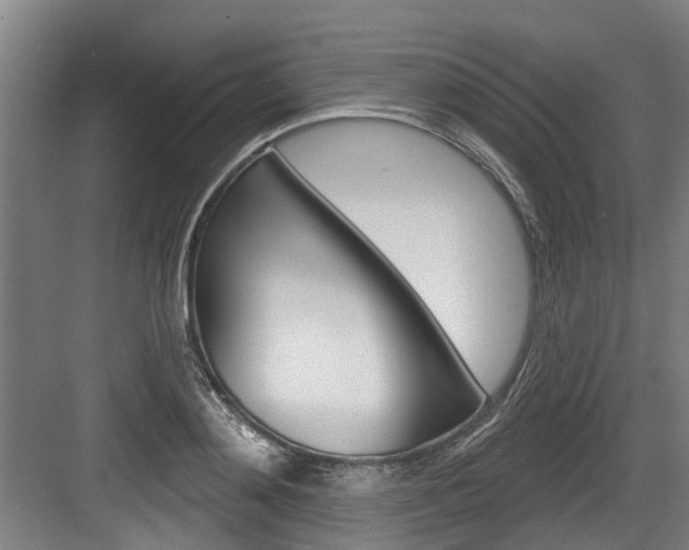X0000083650892200702120833