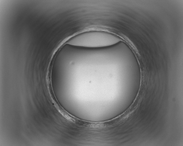 X0000083650893200702120833