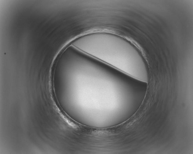 X0000083650894200702120833