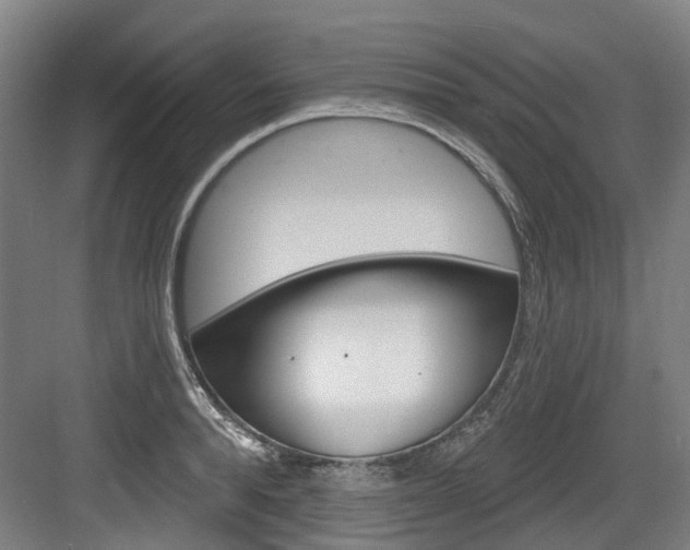 X0000083650896200702120833