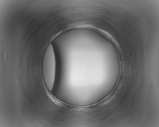 X0000083650897200702120833